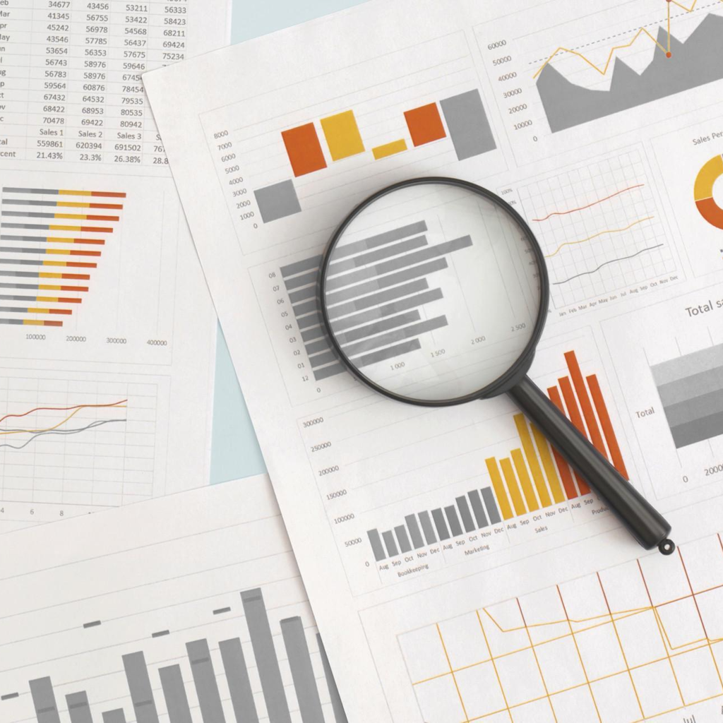 What’s Included in Our Power BI Project Management Dashboard Services?
